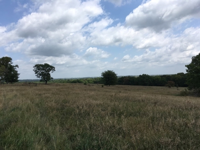 Farm Auction Tract 1 - image 2