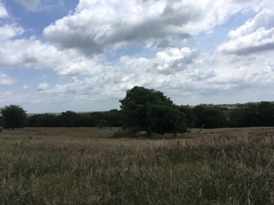 Farm Auction Tract 1 - image 1