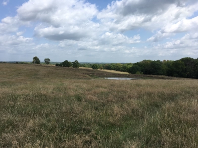 Farm Auction Tract 1 - image 3
