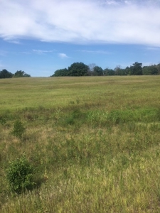 Farm Auction Tract 4 - image 3