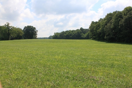 Country Home, Building Sites, Mini Farm, Land For Sale - image 8