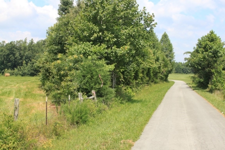 Country Home, Building Sites, Mini Farm, Land For Sale - image 10