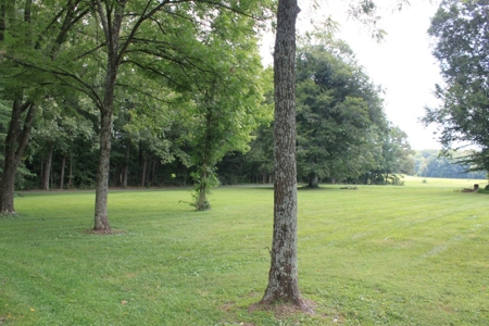 Country Home, Building Sites, Mini Farm, Land For Sale - image 4