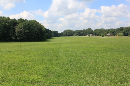 Country Home, Building Sites, Mini Farm, Land For Sale - image 7