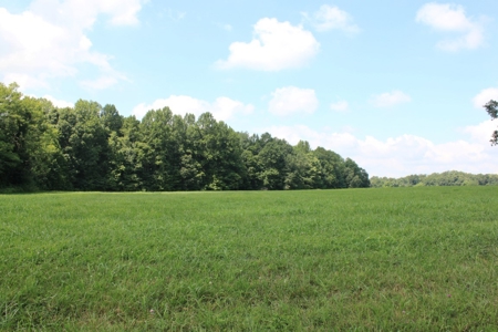 Country Home, Building Sites, Mini Farm, Land For Sale - image 9