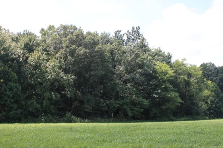 Country Home, Building Sites, Mini Farm, Land For Sale - image 11