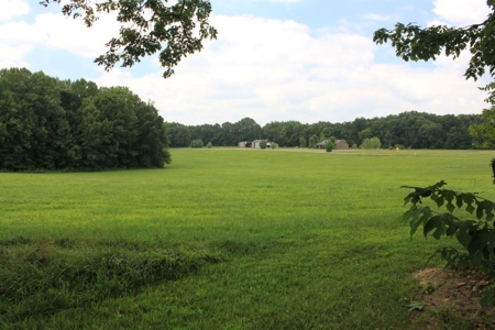 Country Home, Building Sites, Mini Farm, Land For Sale - image 5