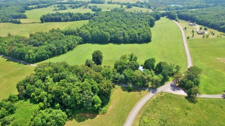 Country Home, Building Sites, Mini Farm, Land For Sale - image 13