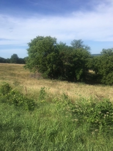 Farm Auction Tract 2 - image 1