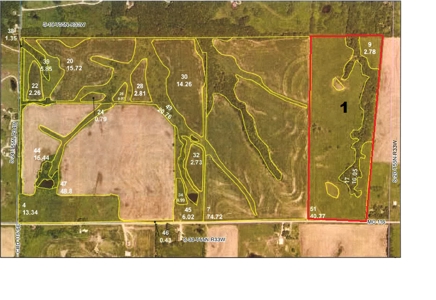 Matney Farm Auction 471.59+/- Acres - image 2