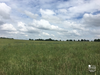 Choctaw County, Oklahoma - Ranch and Ranchland for Sale - image 6