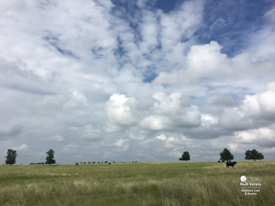 Choctaw County, Oklahoma - Ranch and Ranchland for Sale - image 3