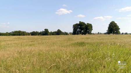 Choctaw County, Oklahoma - Ranch and Ranchland for Sale - image 7