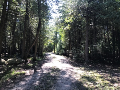 Land Auction - Multi-Parcel | Waterfront | Inland Acreage - image 26