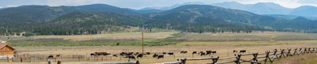 Colorado Mountain Land, Senior Water Rights For Sale - image 6