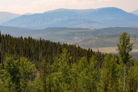 Colorado Mountain Land, Senior Water Rights For Sale - image 9