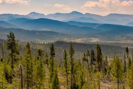 Colorado Mountain Land, Senior Water Rights For Sale - image 12
