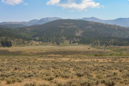 Colorado Mountain Land, Senior Water Rights For Sale - image 10