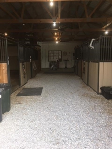 SOLD! Equestrian Farm Southwest Missouri For Sale at Auction - image 9