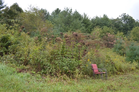 7 Lots in Briarwood Subdivision - image 11