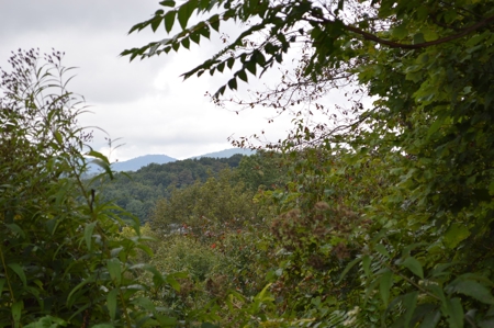 7 Lots in Briarwood Subdivision - image 4