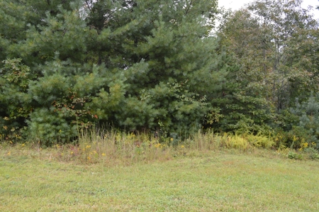 7 Lots in Briarwood Subdivision - image 8