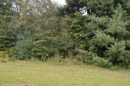 7 Lots in Briarwood Subdivision - image 9