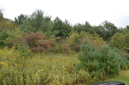 7 Lots in Briarwood Subdivision - image 12