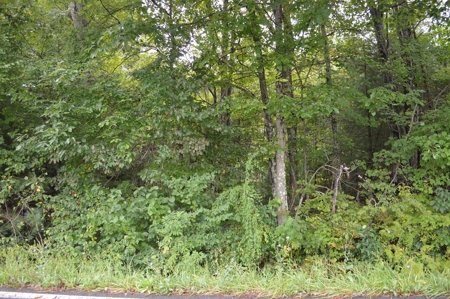 7 Lots in Briarwood Subdivision - image 27