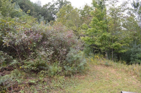 7 Lots in Briarwood Subdivision - image 14
