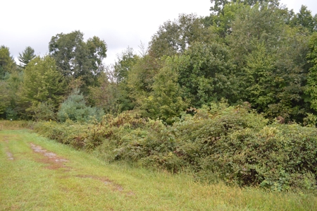 7 Lots in Briarwood Subdivision - image 19