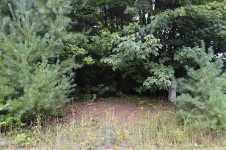 7 Lots in Briarwood Subdivision - image 22