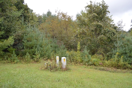 7 Lots in Briarwood Subdivision - image 10