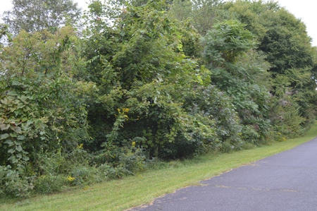 7 Lots in Briarwood Subdivision - image 3