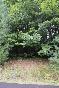7 Lots in Briarwood Subdivision - image 23