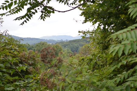 7 Lots in Briarwood Subdivision - image 6