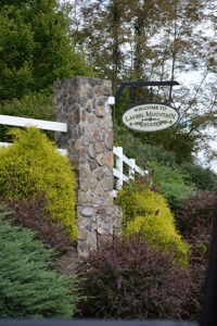 3.16 Acres +/- Lot in Laurel Mountain Estates - image 1
