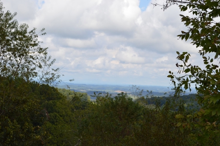 3.16 Acres +/- Lot in Laurel Mountain Estates - image 16