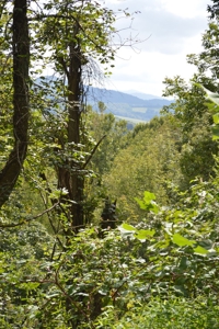 3.16 Acres +/- Lot in Laurel Mountain Estates - image 10