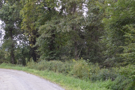3.16 Acres +/- Lot in Laurel Mountain Estates - image 15
