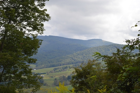 3.16 Acres +/- Lot in Laurel Mountain Estates - image 13