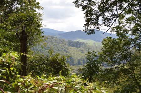 3.16 Acres +/- Lot in Laurel Mountain Estates - image 11