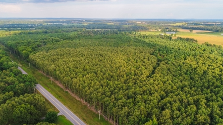 Timberland Auction - 403± Acres in 12 Tracts - image 7