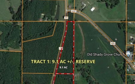Timberland Auction  - Tract #1    9.1 Acres+/- - image 12