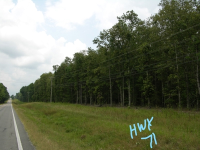 Timberland Auction  - Tract #1    9.1 Acres+/- - image 1