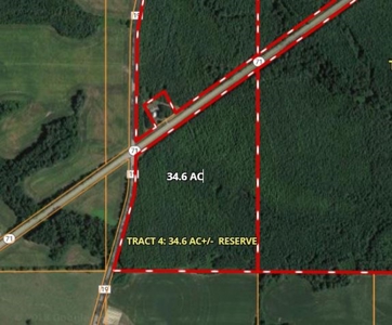 Timberland Auction  403± Acres in 12 Tracts • Tract #4 - image 9