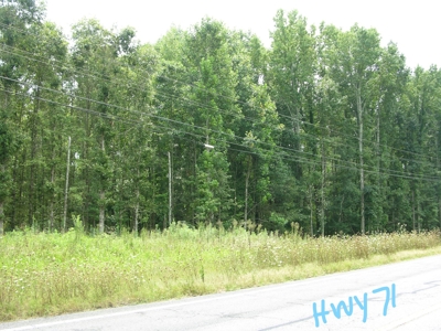 Timberland Auction  403± Acres in 12 Tracts • Tract #5 - image 1