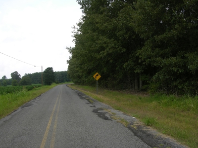 Timberland Auction  403± Acres - #7 of 12 Tracts - image 1