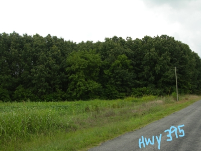 Timberland Auction  403± Acres # 9 of 12 Tracts - image 1