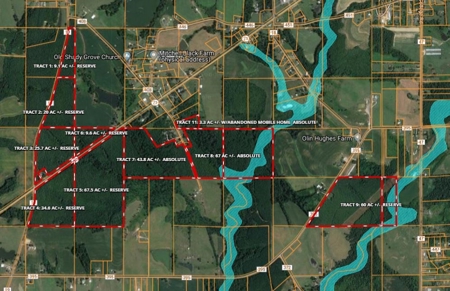 Timberland Auction  403± Acres #10 of 12 Tracts - image 10